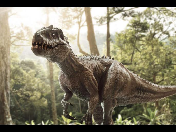 Prehistoric living fossils are spotted swimming in the wave lived on earth for 55 crore years | डायनासॉर युगाच्या आधीपासून पृथ्वीवर असलेला जीव सापडला, बघा तीन डोळ्यांच्या जीवाचा फोटो Prehistoric living fossils are spotted swimming in the wave lived on earth for 55 crore years | डायनासॉर युगाच्या आधीपासून पृथ्वीवर असलेला जीव सापडला, बघा तीन डोळ्यांच्या जीवाचा फोटो