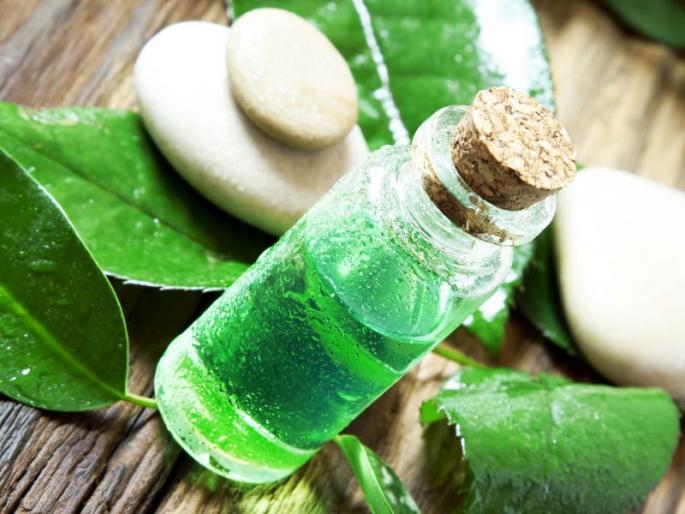 Know what is tea tree oil? what is benefits for beauty | त्वचेच्या समस्या असतील अनेक, पण उपाय एक टी ट्री ऑइल! Know what is tea tree oil? what is benefits for beauty | त्वचेच्या समस्या असतील अनेक, पण उपाय एक टी ट्री ऑइल!