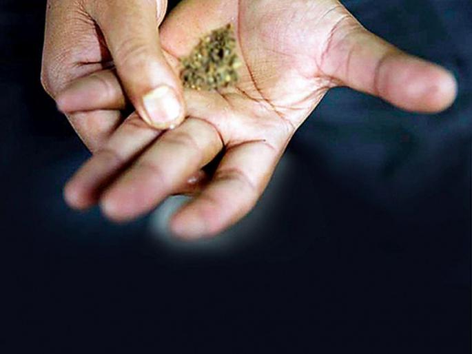 tobacco is harmful for health | तंबाखूची जीवघेणी गोळी tobacco is harmful for health | तंबाखूची जीवघेणी गोळी