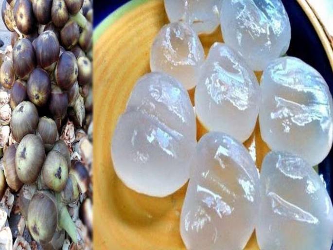 To beat the heat eat tadgola or ice apple know tadgola health benefits | उन्हाळ्यात सुपर फूड ठरतं हे पारदर्शी फळ; एकदा नक्की खाऊन पाहा