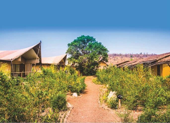 Play a role in the rehabilitation of Tadoba residents | ताडोबातील रहिवाशांच्या पुनर्वसनावर भूमिका मांडा