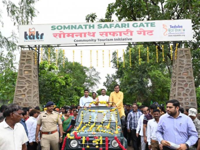 Somnath Safari Gate in 'Tadoba' has opened the gate of employment says Forest Minister Sudhir Mungantiwar | 'ताडोबा'तील सोमनाथ सफारी गेटमुळे उघडले रोजगाराचे 'द्वार'- वनमंत्री मुनगंटीवार Somnath Safari Gate in 'Tadoba' has opened the gate of employment says Forest Minister Sudhir Mungantiwar | 'ताडोबा'तील सोमनाथ सफारी गेटमुळे उघडले रोजगाराचे 'द्वार'- वनमंत्री मुनगंटीवार