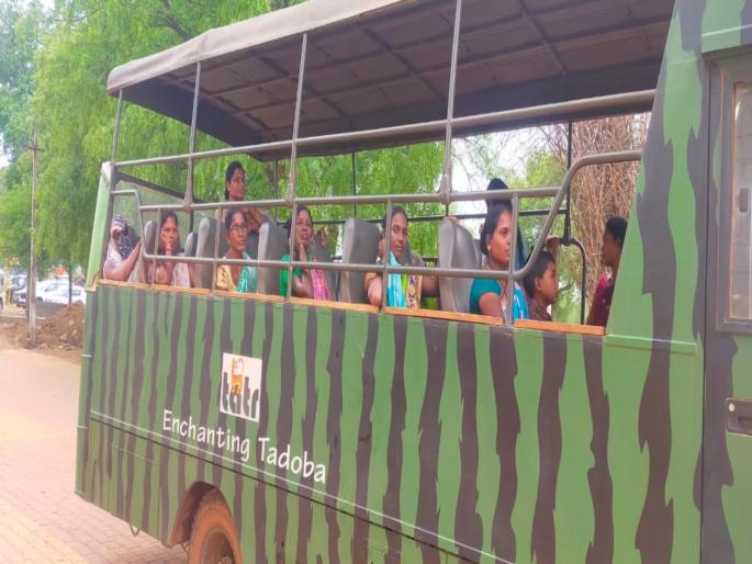 Tadoba Bharari activity of forest and wildlife conservation for Self Help Womens Group | ताडोबा-अंधारी व्याघ्र प्रकल्प : बचत गटांच्या ४०० महिलांसाठी ‘भरारी’ Tadoba Bharari activity of forest and wildlife conservation for Self Help Womens Group | ताडोबा-अंधारी व्याघ्र प्रकल्प : बचत गटांच्या ४०० महिलांसाठी ‘भरारी’