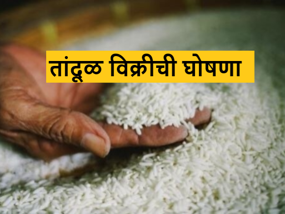 Latest News Agriculture News Sale of rice under open market sale scheme by fci appeal to buyers | Agriculture News : खुल्या बाजार विक्री योजनेंतर्गत तांदूळ विक्री, खरेदीदारांना आवाहन Latest News Agriculture News Sale of rice under open market sale scheme by fci appeal to buyers | Agriculture News : खुल्या बाजार विक्री योजनेंतर्गत तांदूळ विक्री, खरेदीदारांना आवाहन