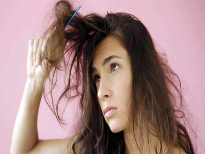 Various ways to prevent your hair from tangling | तुमच्या केसांचा सतत गुंता होतो का? 'हे' उपाय करतील मदत Various ways to prevent your hair from tangling | तुमच्या केसांचा सतत गुंता होतो का? 'हे' उपाय करतील मदत
