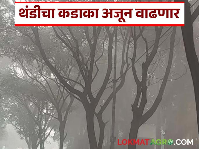 Cold weather has increased in the state; How many more days will the cold weather persist? | राज्यात थंडीचा मुक्काम वाढला; अजून किती दिवस राहणार थंडीचा कडाका? Cold weather has increased in the state; How many more days will the cold weather persist? | राज्यात थंडीचा मुक्काम वाढला; अजून किती दिवस राहणार थंडीचा कडाका?