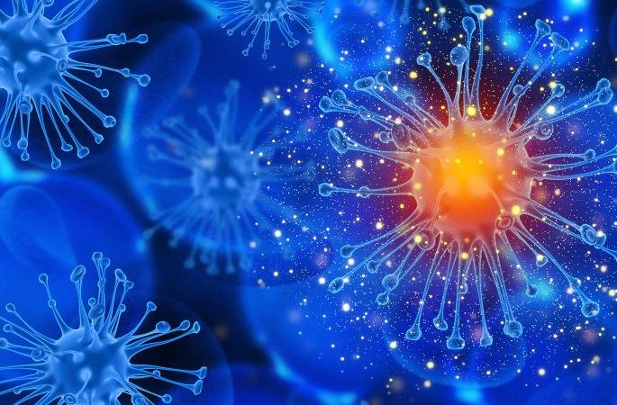 So far 24 positive in Gadchiroli | Corona Virus in Gadchiroli; गडचिरोलीत आतापर्यंत २४ पॉझिटिव्ह