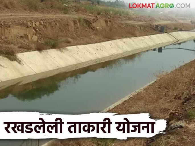 Takari Sinchan Yojana : When will the Complete Takari Lift Irrigation Scheme boon for drought-prone areas | Takari Sinchan Yojana : दुष्काळी भागासाठी वरदायिनी ठरणारी ताकारी उपसा सिंचन योजना कधी पूर्ण होणार? वाचा संपूर्ण इतिहास Takari Sinchan Yojana : When will the Complete Takari Lift Irrigation Scheme boon for drought-prone areas | Takari Sinchan Yojana : दुष्काळी भागासाठी वरदायिनी ठरणारी ताकारी उपसा सिंचन योजना कधी पूर्ण होणार? वाचा संपूर्ण इतिहास