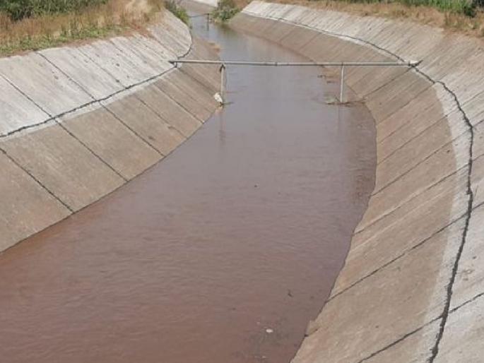 First revision of Takari Yojana closed after almost 50 days in sangli | Sangli: ‘ताकारी’चे पहिले आवर्तन तब्बल ५० दिवसांनंतर बंद, दुसरे आवर्तन कधी सुरु होणार..जाणून घ्या First revision of Takari Yojana closed after almost 50 days in sangli | Sangli: ‘ताकारी’चे पहिले आवर्तन तब्बल ५० दिवसांनंतर बंद, दुसरे आवर्तन कधी सुरु होणार..जाणून घ्या