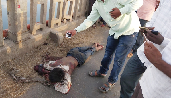 If instead of taking photographs, if he had been admitted to the hospital, the creatures would have survived Brahmadev | फोटो काढण्याऐवजी रुग्णालयात दाखल केले असते तर ब्रह्मदेवचा वाचला असता जीव