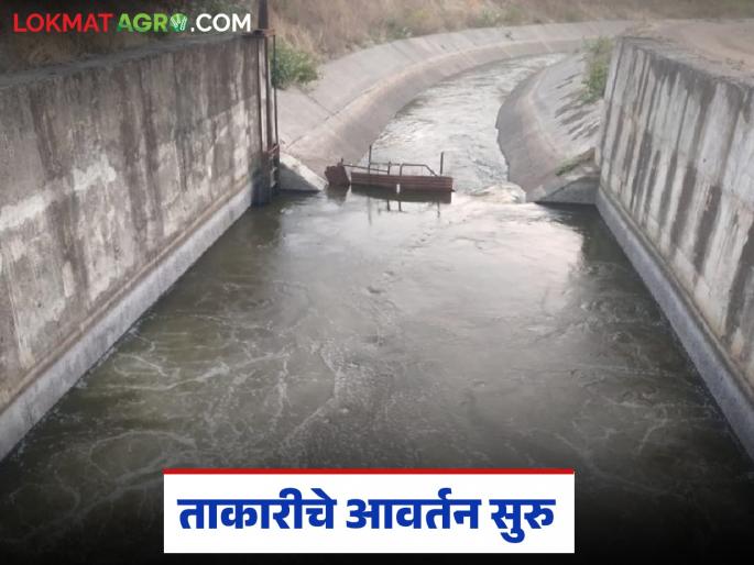 Takari Yojana : Seven pumps of Takari Yojana started; Farmers from thirteen villages will get benefits | Takari Yojana : ताकारी योजनेचे सात पंप सुरू; तेरा गावातील शेतकऱ्यांना मिळणार आवर्तनाचा लाभ Takari Yojana : Seven pumps of Takari Yojana started; Farmers from thirteen villages will get benefits | Takari Yojana : ताकारी योजनेचे सात पंप सुरू; तेरा गावातील शेतकऱ्यांना मिळणार आवर्तनाचा लाभ