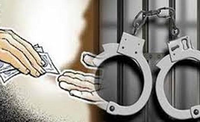 Talathi arrested for taking bribe of two and a half thousand! | अडीच हजारांची लाच घेताना तलाठी जेरबंद! Talathi arrested for taking bribe of two and a half thousand! | अडीच हजारांची लाच घेताना तलाठी जेरबंद!