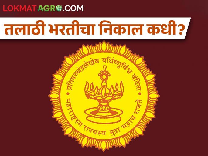 The result of Talathi recruitment is possibility to be out within a week | तलाठी भरतीचा निकाल आठवडाभरात लागण्याची शक्यता The result of Talathi recruitment is possibility to be out within a week | तलाठी भरतीचा निकाल आठवडाभरात लागण्याची शक्यता