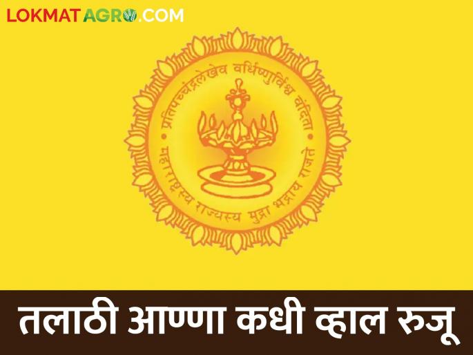 Talathi selection list announced, results in 23 districts | तलाठी निवड यादी जाहीर, २३ जिल्ह्यांत लागला निकाल Talathi selection list announced, results in 23 districts | तलाठी निवड यादी जाहीर, २३ जिल्ह्यांत लागला निकाल