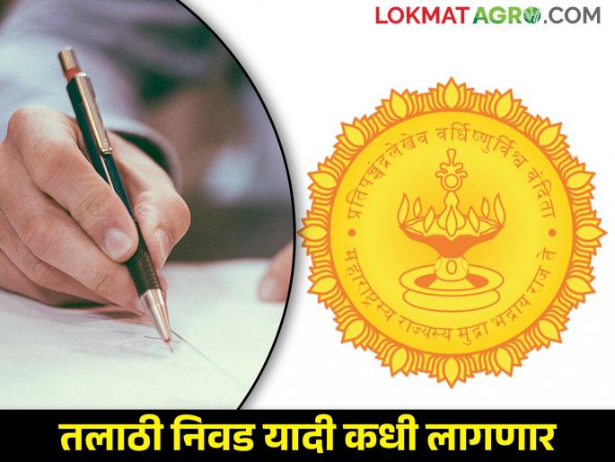 Talathi recruitment selection list will be available within a week; List work in final stage | तलाठी भरती निवड यादी आठवडाभरात लागणार; याद्यांचे काम अंतिम टप्प्यात Talathi recruitment selection list will be available within a week; List work in final stage | तलाठी भरती निवड यादी आठवडाभरात लागणार; याद्यांचे काम अंतिम टप्प्यात