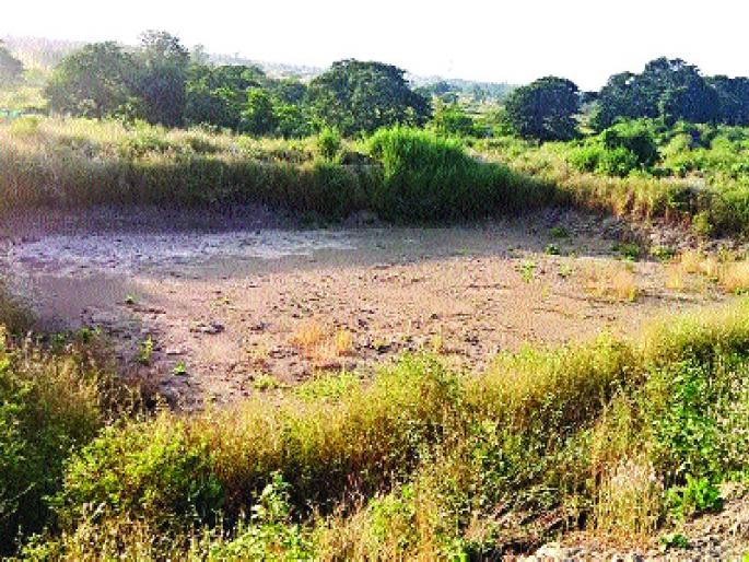 Due to rainy season, the pond clears, the forest department is accused of constructing a wrong place | पावसाळा संपताच तलाव कोरडा, वनविभागाने चुकीच्या ठिकाणी बांधकाम केल्याचा आरोप Due to rainy season, the pond clears, the forest department is accused of constructing a wrong place | पावसाळा संपताच तलाव कोरडा, वनविभागाने चुकीच्या ठिकाणी बांधकाम केल्याचा आरोप