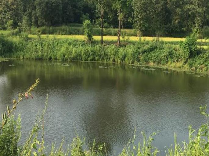 Disaster while washing clothes in lake water; Two sisters drown, one dies, the other is in critical condition | तलावाच्या पाण्यात धुणे धुताना अनर्थ; दोन सख्ख्या बहिणी बुडाल्या, एकीचा मृत्यू, दुसरी गंभीर Disaster while washing clothes in lake water; Two sisters drown, one dies, the other is in critical condition | तलावाच्या पाण्यात धुणे धुताना अनर्थ; दोन सख्ख्या बहिणी बुडाल्या, एकीचा मृत्यू, दुसरी गंभीर