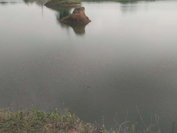sister and brother sank at Lake Annasagar in vardha | अन्नासागर तलावात भावाला वाचविताना बहिणीचाही तोल जाऊन मृत्यू sister and brother sank at Lake Annasagar in vardha | अन्नासागर तलावात भावाला वाचविताना बहिणीचाही तोल जाऊन मृत्यू