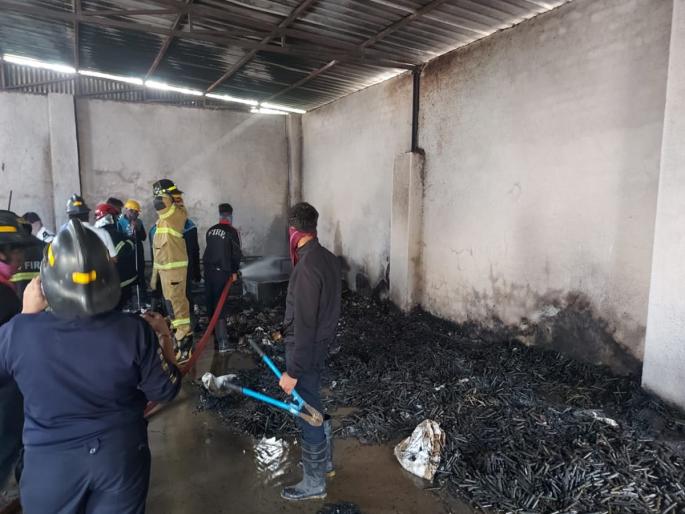 Talawade Fire: Aid proposal to government for Talawade victims, administration information | Talawade Fire: तळवडेतील मृतांच्या मदतीचा प्रस्ताव सरकारकडे, प्रशासनाची माहिती Talawade Fire: Aid proposal to government for Talawade victims, administration information | Talawade Fire: तळवडेतील मृतांच्या मदतीचा प्रस्ताव सरकारकडे, प्रशासनाची माहिती
