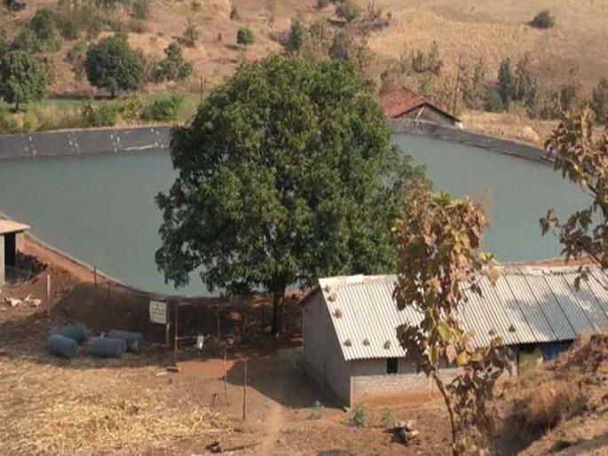 Due to the 'farming' he will land in Nandurbar | नंदुरबारात ‘मागेल त्याला शेततळे’ योजनेची अधोगती Due to the 'farming' he will land in Nandurbar | नंदुरबारात ‘मागेल त्याला शेततळे’ योजनेची अधोगती