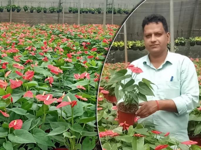 Two and a half lakh people left their jobs abroad and became millionaires in their homeland | Pune: परदेशातील अडीच लाखांची नोकरी सोडून भारतात आला, आज कोटींमध्ये कमाई Two and a half lakh people left their jobs abroad and became millionaires in their homeland | Pune: परदेशातील अडीच लाखांची नोकरी सोडून भारतात आला, आज कोटींमध्ये कमाई
