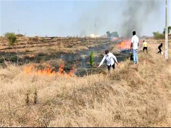 Thousands of trees were set on fire | जंगलास आग लागून हजारो झाडे बेचिराख Thousands of trees were set on fire | जंगलास आग लागून हजारो झाडे बेचिराख