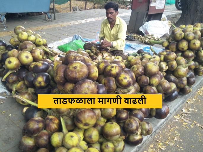 Latest News demand for palm has increased in market what is price | ताडफळ विक्रीतून अनेकांना रोजगार, बाजारात मागणी वाढली, कसा आहे भाव? Latest News demand for palm has increased in market what is price | ताडफळ विक्रीतून अनेकांना रोजगार, बाजारात मागणी वाढली, कसा आहे भाव?