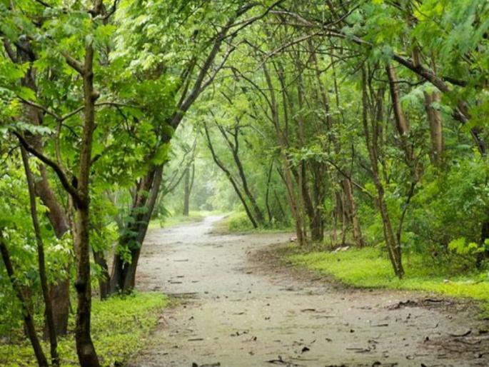 Finally, the forest department rushed to the aid of the residents of Sahakarnagar and will take measures against the floods | अखेर सहकारनगरच्या रहिवाशांच्या मदतीला धावला वन विभाग, पुरावर उपाययोजना करणार