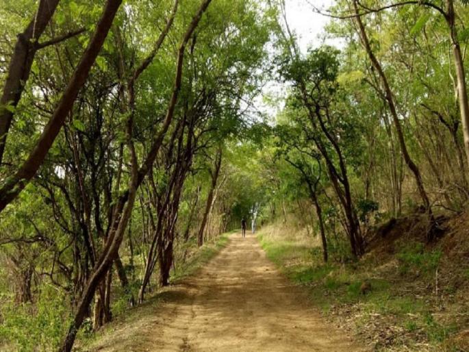 body was found hanging from a tree in the forest of Taljai in Pune crime news | पुण्यातील तळजाईच्या जंगलात गळफास घेतलेल्या अवस्थेत आढळला मृतदेह body was found hanging from a tree in the forest of Taljai in Pune crime news | पुण्यातील तळजाईच्या जंगलात गळफास घेतलेल्या अवस्थेत आढळला मृतदेह