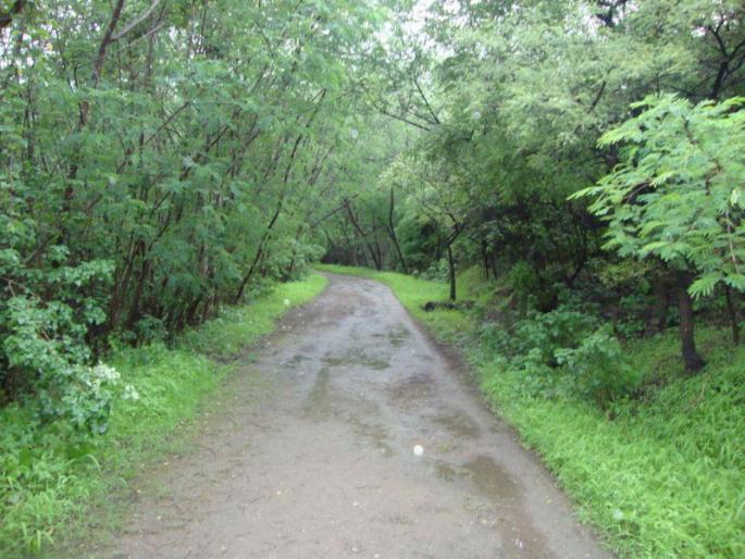 Supreme Court results in favor of 'oxygen park' | तळजाई  'ऑक्सिजन पार्क' च्या बाजूने सर्वोच्च न्यायालयाचा निकाल Supreme Court results in favor of 'oxygen park' | तळजाई  'ऑक्सिजन पार्क' च्या बाजूने सर्वोच्च न्यायालयाचा निकाल