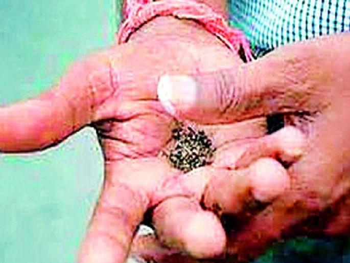 Tobacco was mixed with the same hand that killed the poison; Death of a young man due to poisoning in satara | Satara: उंदीर मारण्यासाठी औषध घातलं, त्याच हाताने तंबाखू मळली; विषबाधा होऊन तरुणाचा मृत्यू Tobacco was mixed with the same hand that killed the poison; Death of a young man due to poisoning in satara | Satara: उंदीर मारण्यासाठी औषध घातलं, त्याच हाताने तंबाखू मळली; विषबाधा होऊन तरुणाचा मृत्यू