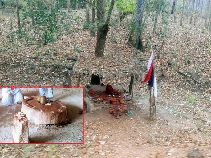Devotees offer tobacco to the goddess to fulfill their wishes; a custom at Redielpu shrine in Sironcha taluka of Gadchiroli | ऐकावं ते नवलच... मनोकामनापूर्तीसाठी चक्क देवीलाच भाविक अर्पण करतात तंबाखू! Devotees offer tobacco to the goddess to fulfill their wishes; a custom at Redielpu shrine in Sironcha taluka of Gadchiroli | ऐकावं ते नवलच... मनोकामनापूर्तीसाठी चक्क देवीलाच भाविक अर्पण करतात तंबाखू!