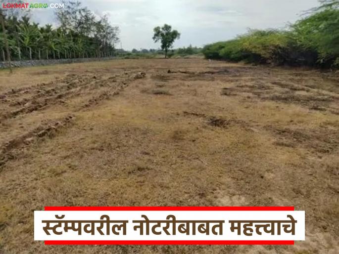 Latest News Jamin Kharedi Vikri Notary will not work with the name 'Tabe-Esar-Paviti' on stamp paper says bombay high court | स्टॅम्प पेपरवरील 'ताबे-इसार-पावती' नावाने नोटरी चालणार नाही, काय म्हणाले न्यायालय? 