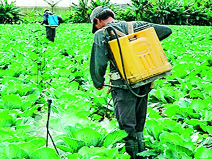 Establishment of a committee at the central level to control the illegal sale of weedicide | तणनाशकाच्या बेकायदा विक्रीवर नियंत्रणासाठी केंद्रीय स्तरावर समितीची स्थापना Establishment of a committee at the central level to control the illegal sale of weedicide | तणनाशकाच्या बेकायदा विक्रीवर नियंत्रणासाठी केंद्रीय स्तरावर समितीची स्थापना