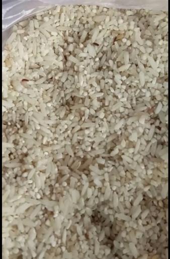 The larvae in Khichadi in the Chikkahalli district council school | चिक्केहळ्ळी जिल्हा परिषद शाळेतील खिचडीत अळ्या