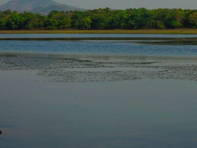 Concerned clouds gathered in the lake area during the rainy season | ऐन पावसाळ्यात तलाव क्षेत्रात जमले चिंतेचे ढग; केवळ ५३ टक्केच जलसाठा शिल्लक Concerned clouds gathered in the lake area during the rainy season | ऐन पावसाळ्यात तलाव क्षेत्रात जमले चिंतेचे ढग; केवळ ५३ टक्केच जलसाठा शिल्लक