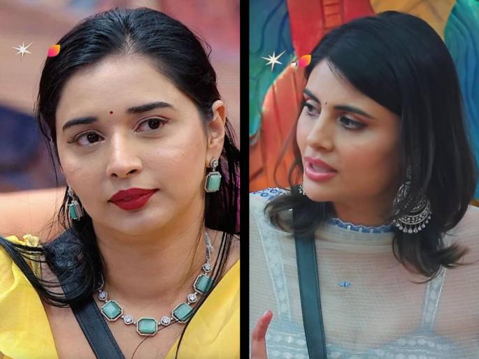 bigg boss 19 malti chahar shocking revealation about tanya mittal said she had adult toys business | अडल्ट Toys विकायची तान्या मित्तल; मालती चहरकडून मोठा खुलासा, म्हणाली- "तिचे अनेक बिजनेस..." bigg boss 19 malti chahar shocking revealation about tanya mittal said she had adult toys business | अडल्ट Toys विकायची तान्या मित्तल; मालती चहरकडून मोठा खुलासा, म्हणाली- "तिचे अनेक बिजनेस..."
