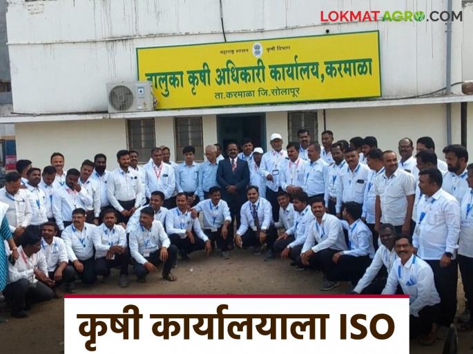 This Taluka Agriculture Officer's Office in Solapur got the first ISO certification in the state | सोलापुरातील या तालुका कृषी अधिकारी कार्यालयास मिळाले राज्यातील पहिले आयएसओ मानांकन This Taluka Agriculture Officer's Office in Solapur got the first ISO certification in the state | सोलापुरातील या तालुका कृषी अधिकारी कार्यालयास मिळाले राज्यातील पहिले आयएसओ मानांकन
