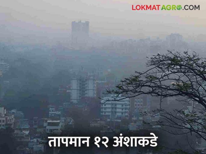 Maharashtra Weather Update : Cyclone conditions conditions in Comorin area will increase in cold | Maharashtra Weather Update : कोमोरिन भागात चक्राकार वाऱ्यांची स्थिती थंडीत होणार वाढ Maharashtra Weather Update : Cyclone conditions conditions in Comorin area will increase in cold | Maharashtra Weather Update : कोमोरिन भागात चक्राकार वाऱ्यांची स्थिती थंडीत होणार वाढ
