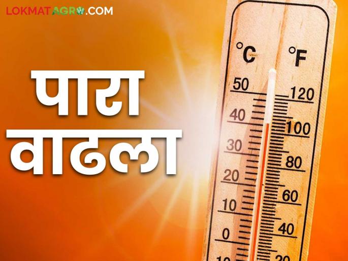 Maharashtra Weather Update : Where was the highest temperature recorded in the state? Temperature status in state? | Maharashtra Weather Update : राज्यात सर्वाधिक तापमानाची नोंद कुठे? पारा किती वाढला? Maharashtra Weather Update : Where was the highest temperature recorded in the state? Temperature status in state? | Maharashtra Weather Update : राज्यात सर्वाधिक तापमानाची नोंद कुठे? पारा किती वाढला?