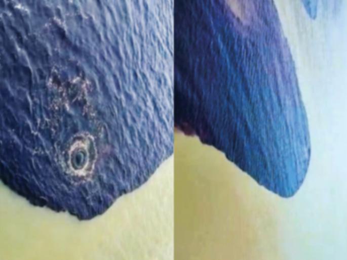 sea turned black in Tarapur pollution control board bing cracked by coast guard photos | तारापूरला समुद्र काळवंडला! प्रदूषण नियंत्रण मंडळाचे बिंग कोस्ट गार्डच्या छायाचित्रांनी फोडले sea turned black in Tarapur pollution control board bing cracked by coast guard photos | तारापूरला समुद्र काळवंडला! प्रदूषण नियंत्रण मंडळाचे बिंग कोस्ट गार्डच्या छायाचित्रांनी फोडले