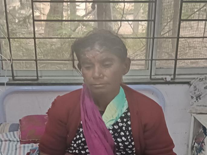 Female sugarcane worker seriously injured in Hyenas attack in Sangli | Sangli: झोपडीत शिरुन वन्यप्राण्याचा ऊसतोड मजूर महिलेवर हल्ला, गंभीर जखमी