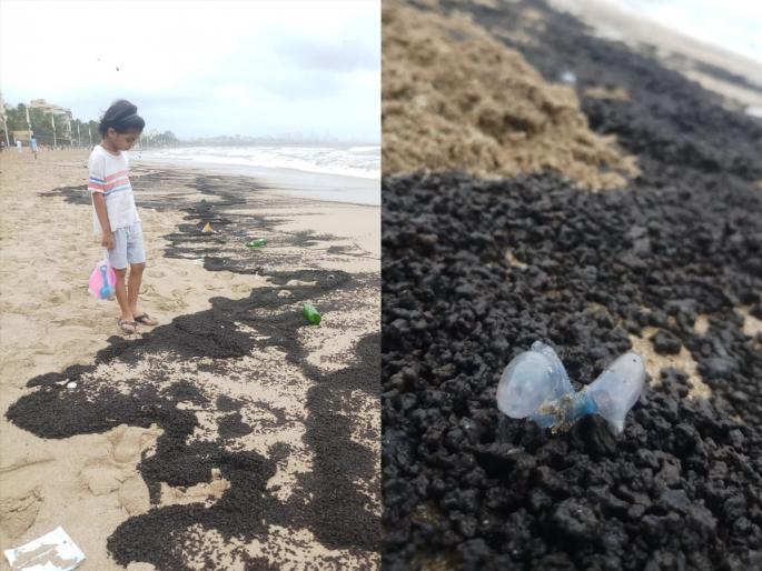 Oily tar balls hit Juhu beach for fifth year in a row once again jellyfish ashore mumbai juhu | सलग पाचव्या वर्षी जुहू समुद्रकिनाऱ्यावर आले तेलकट टार बॉल्स, पुन्हा एकदा जेलिफिश किनाऱ्यावर