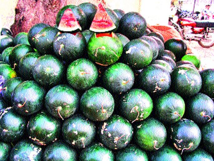 The arrival of Kalandh; Demand increase | कलिंगडचे आगमन; मागणीत वाढ