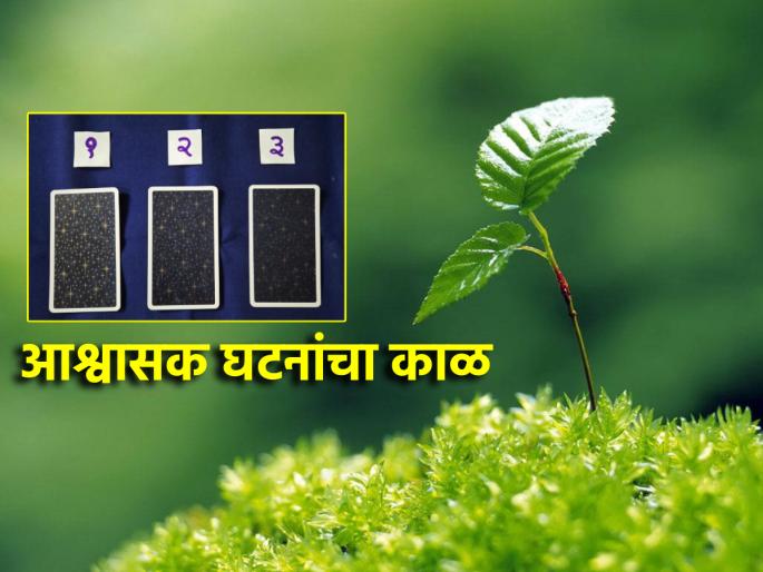 Tarot Card: The coming period is full of promising developments and pleasant events; Read your Tarot fortune! | Tarot Card: आगामी काळ आश्वासक घडामोडींचा, आनंददायी घटनांचा; वाचा टॅरो भविष्य! Tarot Card: The coming period is full of promising developments and pleasant events; Read your Tarot fortune! | Tarot Card: आगामी काळ आश्वासक घडामोडींचा, आनंददायी घटनांचा; वाचा टॅरो भविष्य!
