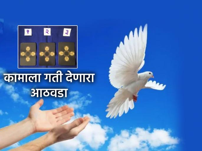 Tarot Card: This week will bring completion of pending tasks; Read weekly tarot prediction | Tarot Card: हा आठवडा अडलेली कामे पूर्णत्त्वास नेणारा; वाचा साप्ताहिक टॅरो भविष्य Tarot Card: This week will bring completion of pending tasks; Read weekly tarot prediction | Tarot Card: हा आठवडा अडलेली कामे पूर्णत्त्वास नेणारा; वाचा साप्ताहिक टॅरो भविष्य