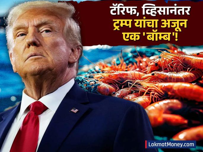 US Proposes Shrimp Tariff on India, H-1B Visa Fee Hiked to $100,000 | टॅरिफ, H1B व्हिसानंतर अमेरिकेचा आता भारतीय कोळंबीवर डोळा! मच्छीमारांवर संकट येणार?