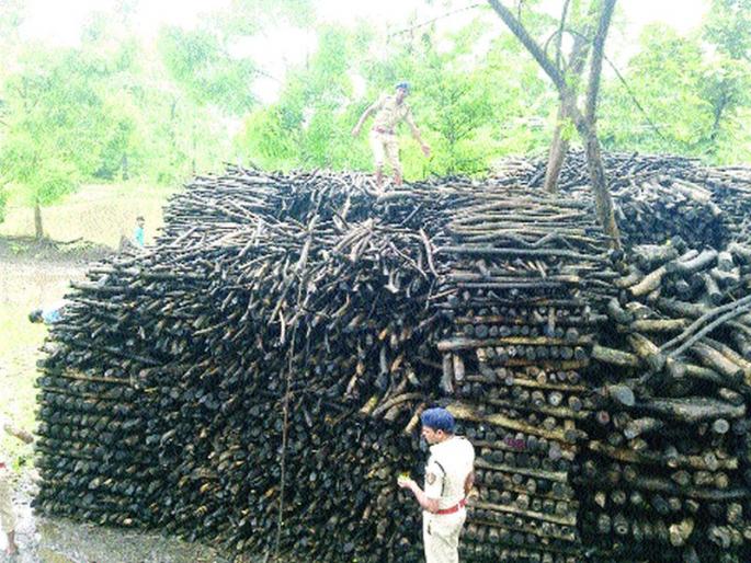 On the radar inquiry radar | वनकर्मचारी चौकशीच्या रडारवर On the radar inquiry radar | वनकर्मचारी चौकशीच्या रडारवर