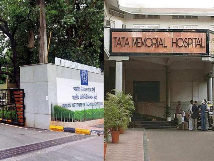 Cure cancer? Take car T cell therapy..; A new alternative to chemotherapy | कॅन्सर बरा करायचा? कार टी सेल थेरपी घ्या..; केमोथेरपीला ठरणार नवा पर्याय Cure cancer? Take car T cell therapy..; A new alternative to chemotherapy | कॅन्सर बरा करायचा? कार टी सेल थेरपी घ्या..; केमोथेरपीला ठरणार नवा पर्याय