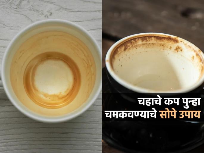 Black and yellow stains on tea cups will be removed instantly, follow these simple remedies | चहाच्या कपांवर पडलेले काळे-पिवळे डाग झटपट होतील दूर, कप चमकतील नव्यासारखे स्वच्छ